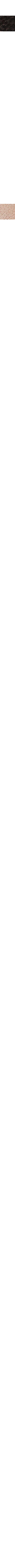 Beige - Grège