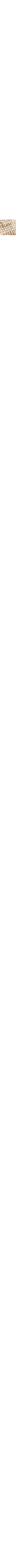 Ecru/Linen