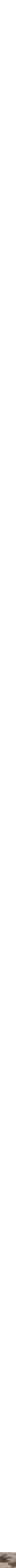 Assorti