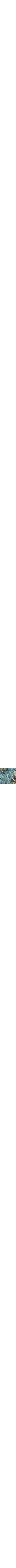 Bleu à motifs