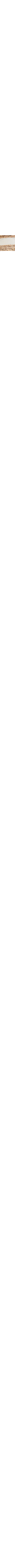 Écru à motifs