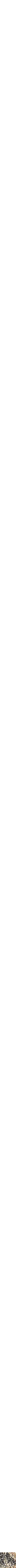 Assorti