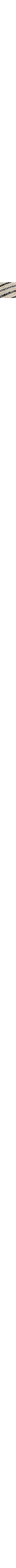 Blanc et noir