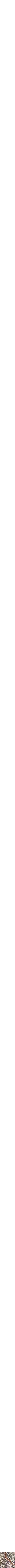 Assorti