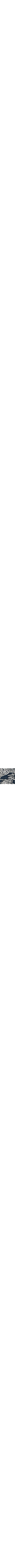 Bleu à motifs