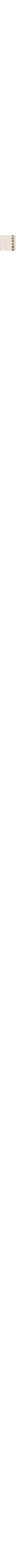 Écru à motifs