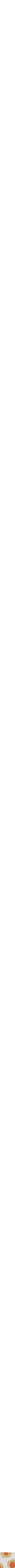 Assorti