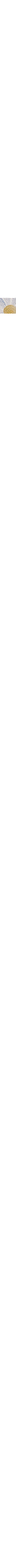Blanc à motifs