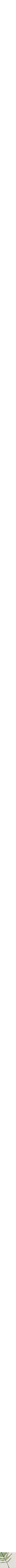 Blanc à motifs
