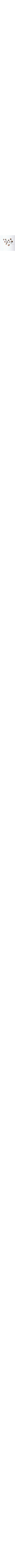 Patterned Ecru