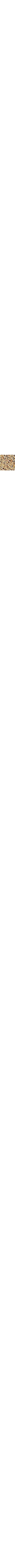 Brun à motifs
