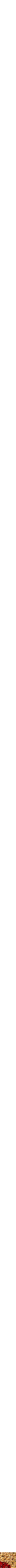 Assorti