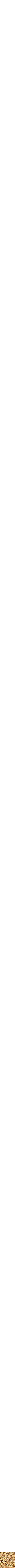 Assorti