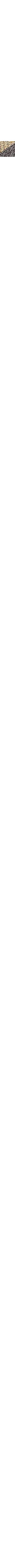 Noir à motifs