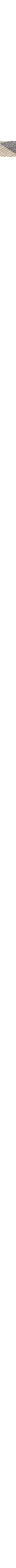 Noir à motifs