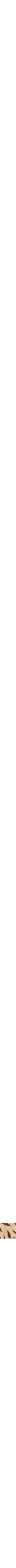 Assorti