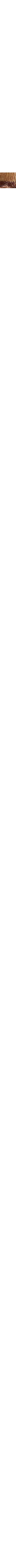 Blanc cassé