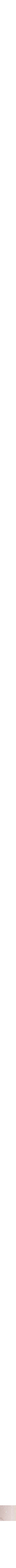 Pamplemousse
