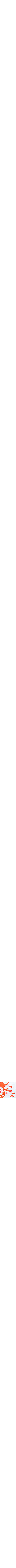 Rouge à motifs
