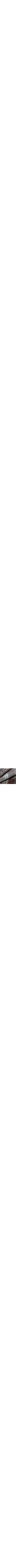Bleu à motifs