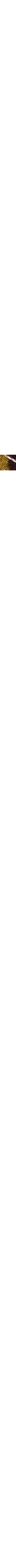 Brun à motifs