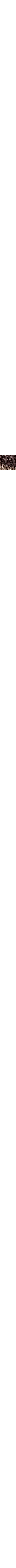 Brun à motifs