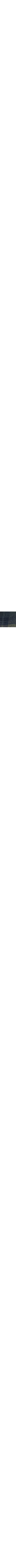 Vert à motifs