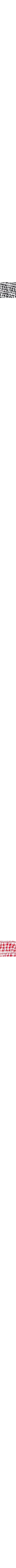 Blanc et noir