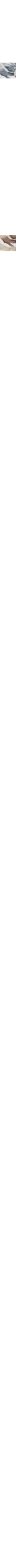 Patterned Ecru