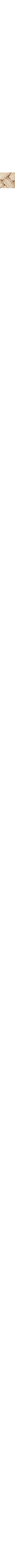 Blanc cassé