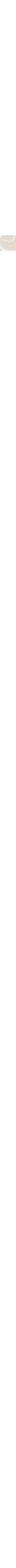 Patterned Ecru