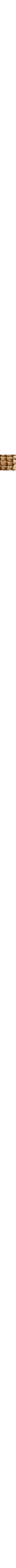 Brun à motifs