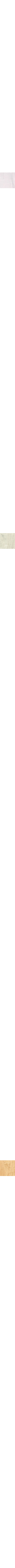 Blanc cassé