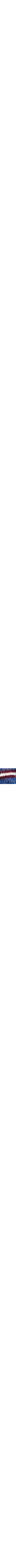 Bleu à motifs