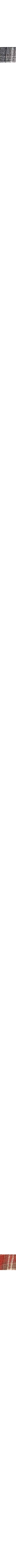 Charbon