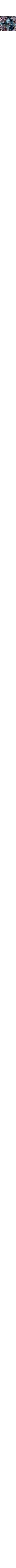 Multicolore