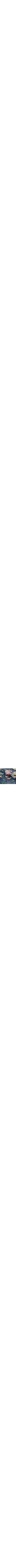 Bleu à motifs