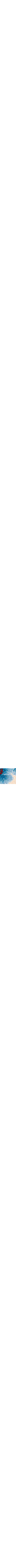 Patterned Blue