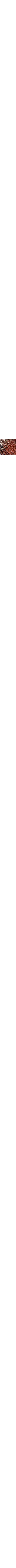 Cuivre - Rouille