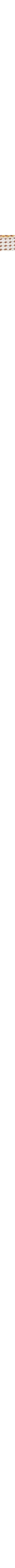 Patterned Ecru