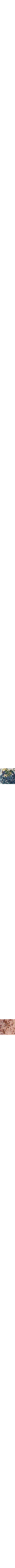 Bleu à motifs