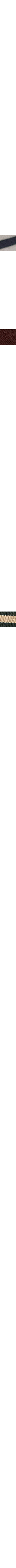 Patterned Ecru