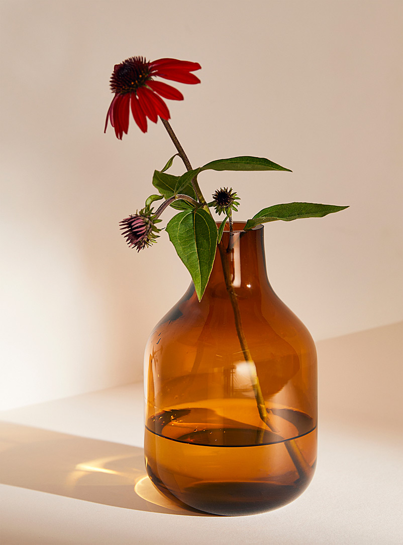Tinted glass vase