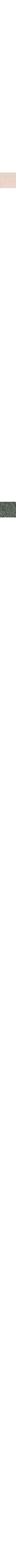 Blanc cassé