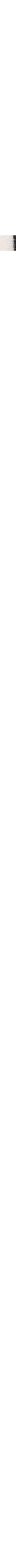 Patterned Ecru