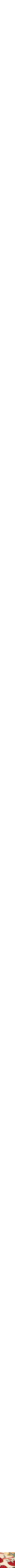 Beige à motifs
