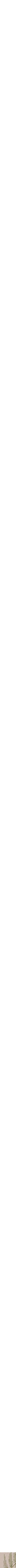 Patterned Cream