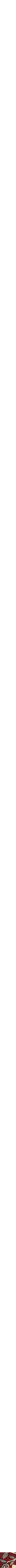 Assorti