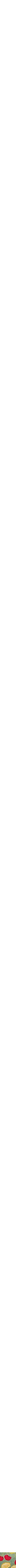 Assorti