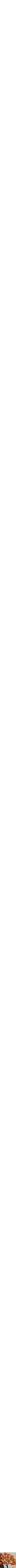 Assorti